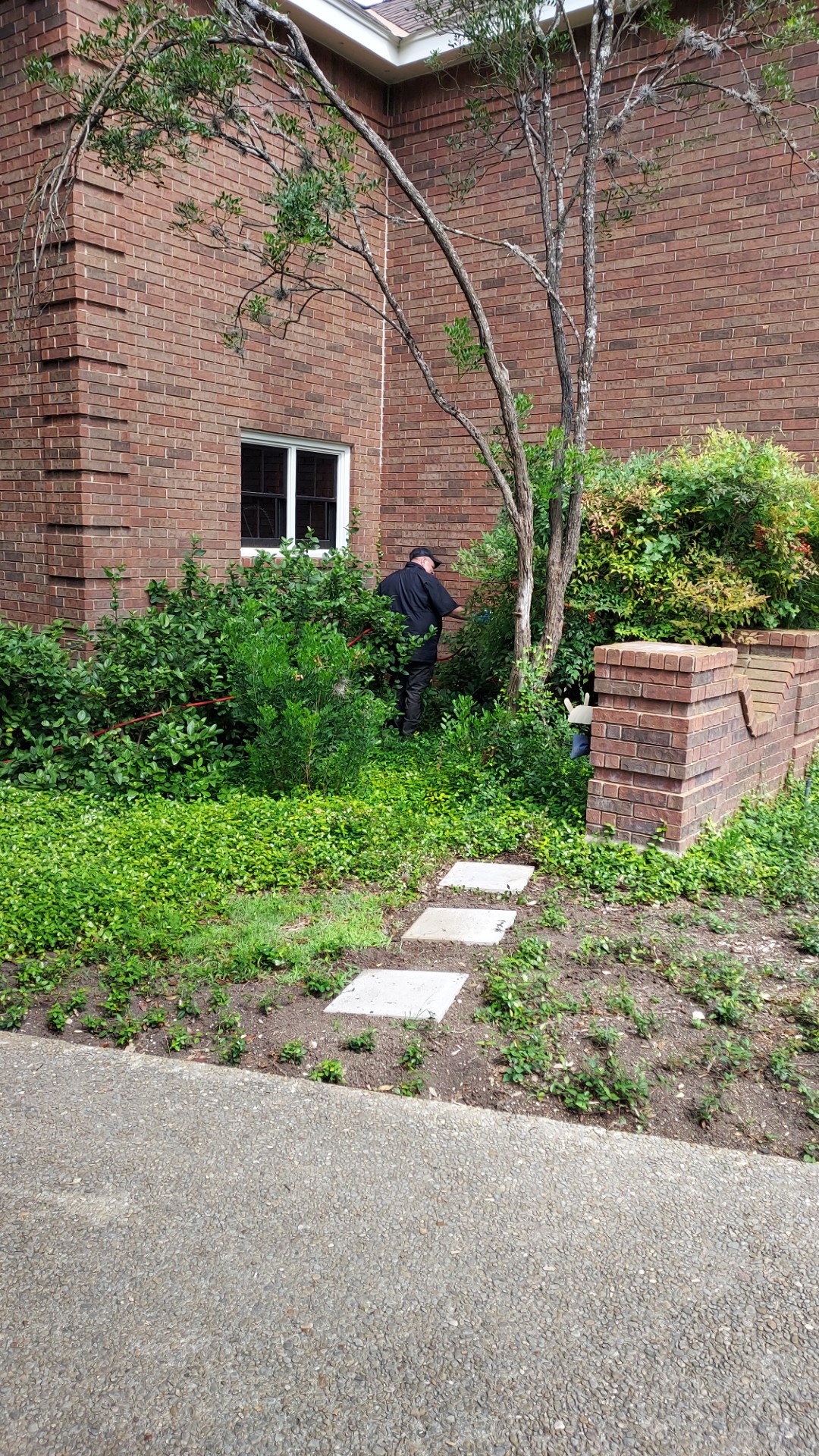 Stalwart treating landscaping and foundation areas